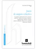 Tapa del libro Juicio de amparo coletivo